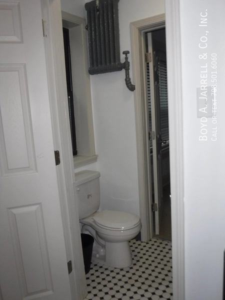 1 bedroom apartment for rent in Hyde Park - South Side, Chicago