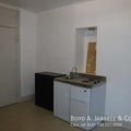 1 bedroom apartment for rent in Hyde Park - South Side, Chicago