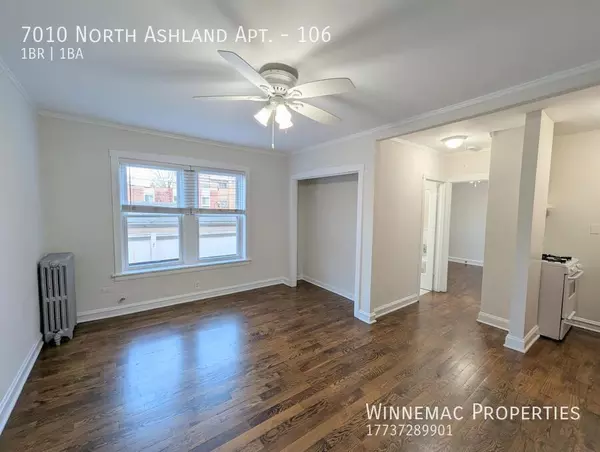 1 bedroom apartment for rent in Rogers Park - Far North Side, Chicago