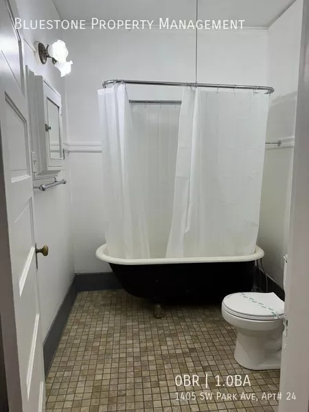 Studio Apartment for rent in Downtown Portland - SW Portland, Portland