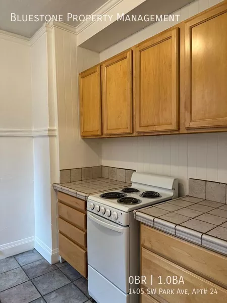 Studio Apartment for rent in Downtown Portland - SW Portland, Portland