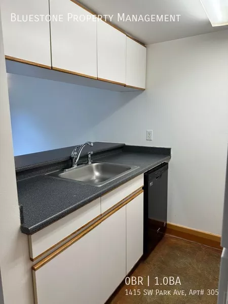 Studio Apartment for rent in Downtown Portland - SW Portland, Portland