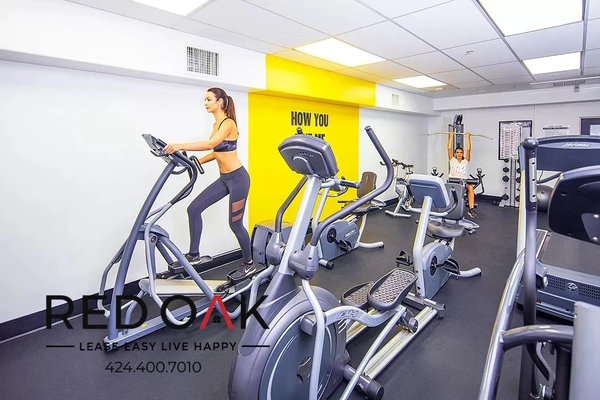 Studio Apartment for rent in Brentwood - Westside / South Bay, Los Angeles