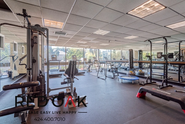 Studio Apartment for rent in Los Feliz - Central Los Angeles, Los Angeles