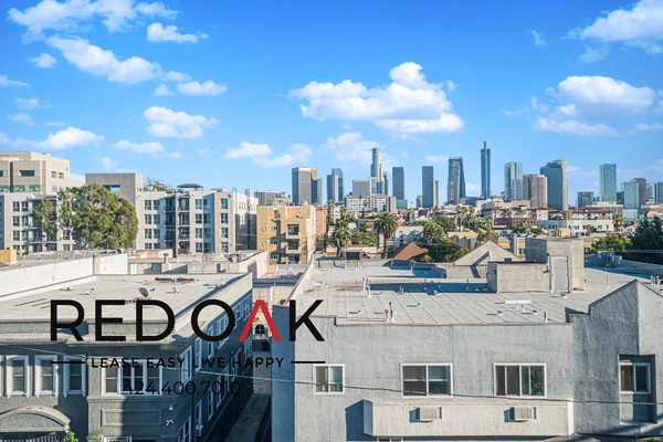 1 bedroom apartment for rent in Pico Union - Central Los Angeles, Los Angeles
