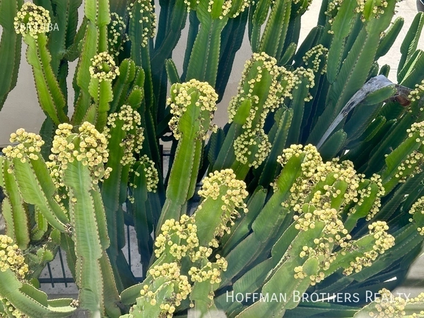 2 bedrooms apartment for rent in Koreatown - Central Los Angeles, Los Angeles