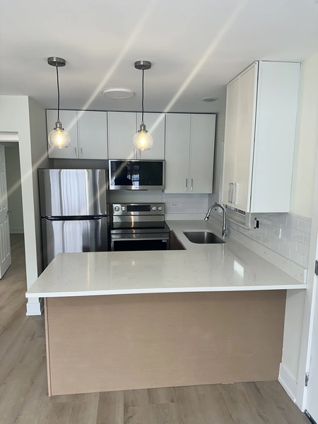 1 bedroom apartment for rent in Edgewater - Far North Side, Chicago