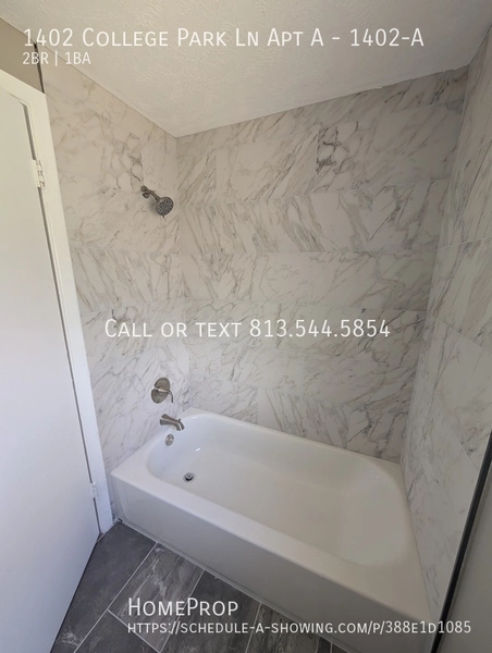 2 bedrooms apartment for rent in University Square - North Tampa, Tampa