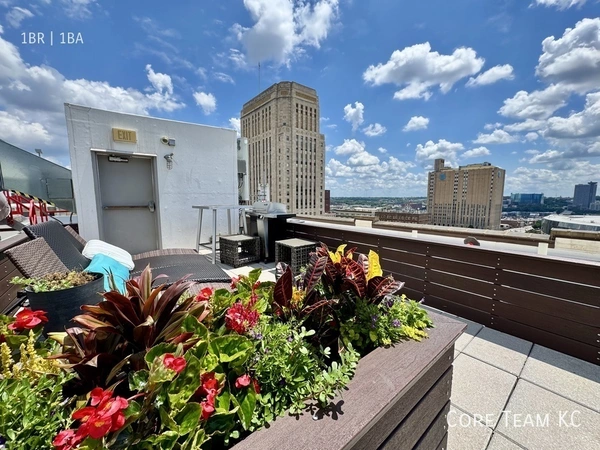 1 bedroom apartment for rent in Downtown Kansas City - KCMO, Kansas City