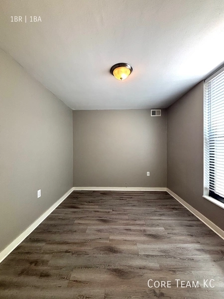1 bedroom apartment for rent in Downtown Kansas City - KCMO, Kansas City