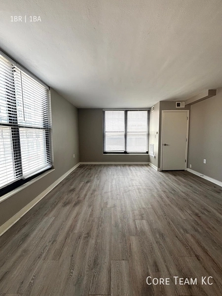 1 bedroom apartment for rent in Downtown Kansas City - KCMO, Kansas City