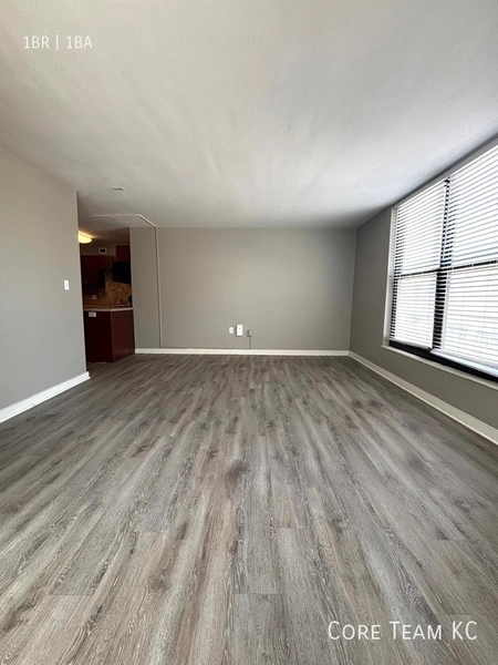 1 bedroom apartment for rent in Downtown Kansas City - KCMO, Kansas City
