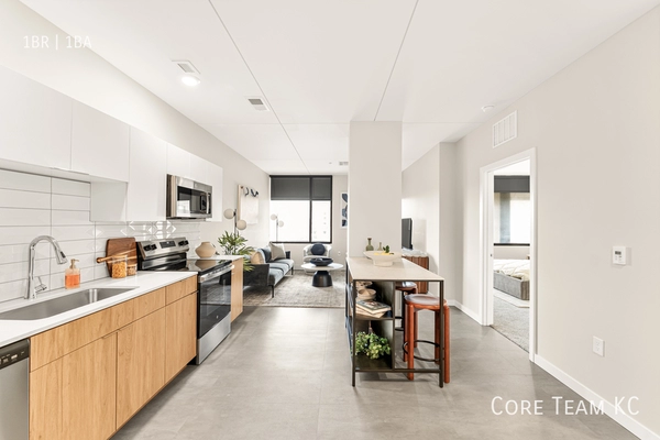 1 bedroom apartment for rent in Downtown Kansas City - KCMO, Kansas City
