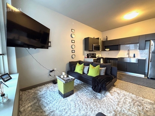 1 bedroom apartment for rent in Downtown Kansas City - KCMO, Kansas City
