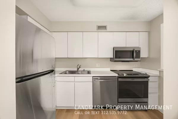 2 bedrooms apartment for rent in Magnificent Mile - Central, Chicago