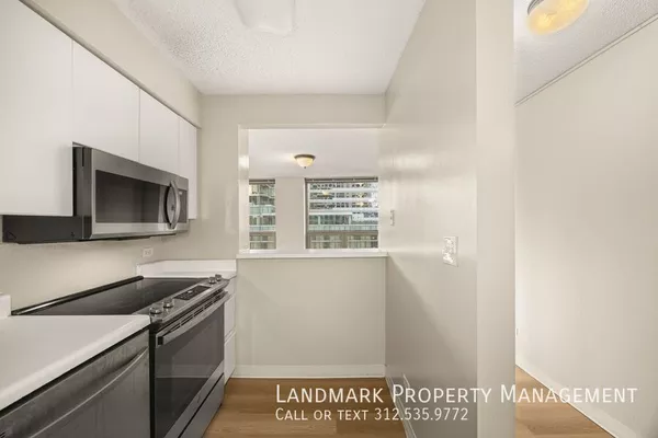 2 bedrooms apartment for rent in Magnificent Mile - Central, Chicago