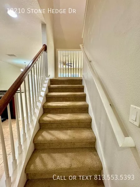 2 bedrooms apartment for rent in Wesley Chapel - North Tampa, Tampa