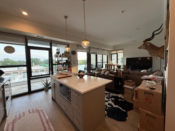 2 bedrooms apartment for rent in Greektown - West Side, Chicago