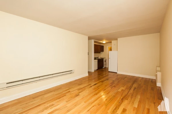 1 bedroom apartment for rent in Gold Coast - Central, Chicago