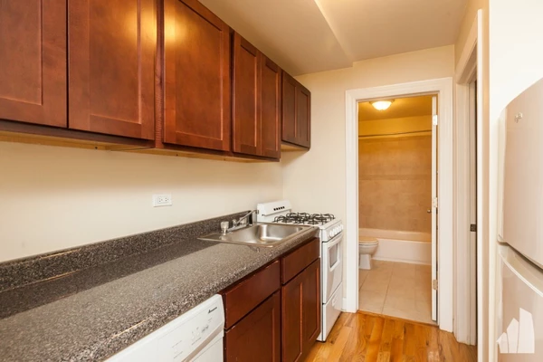 1 bedroom apartment for rent in Gold Coast - Central, Chicago