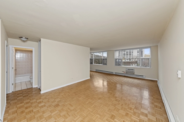 1 bedroom apartment for rent in Gold Coast - Central, Chicago
