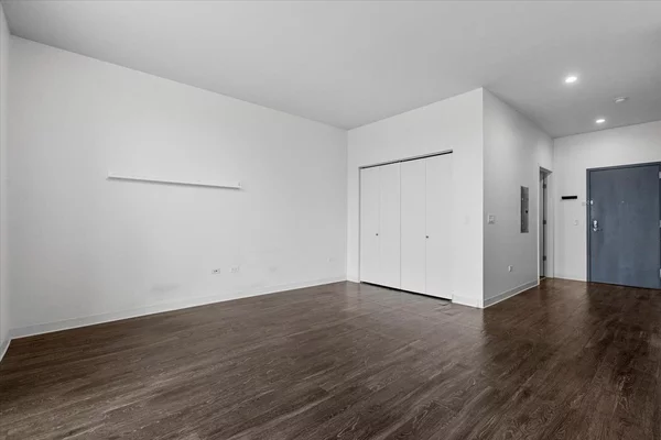 Studio Apartment for rent in River West - Central, Chicago