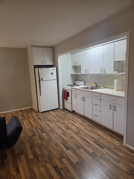 Studio Apartment for rent in Boystown - North Side, Chicago
