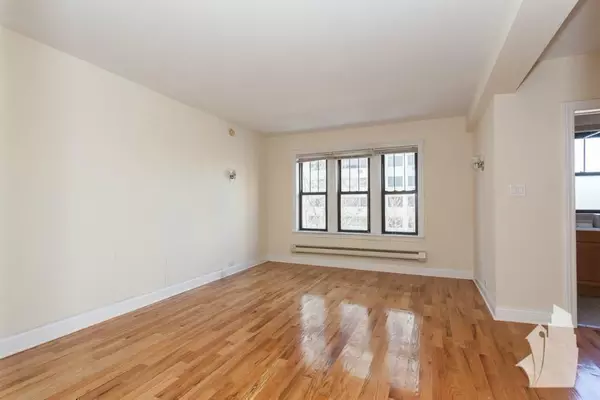 Studio Apartment for rent in Gold Coast - Central, Chicago