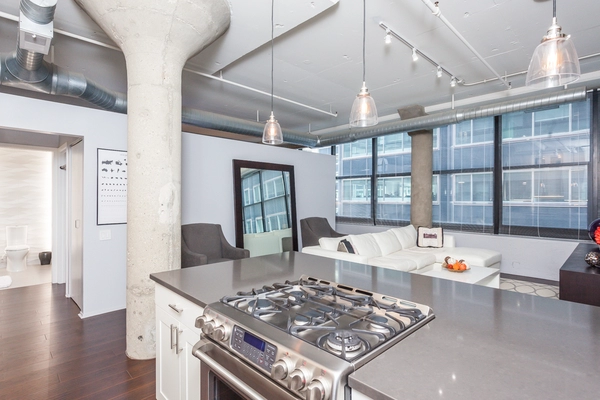 1 bedroom apartment for rent in Greektown - West Side, Chicago