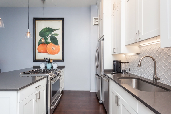 1 bedroom apartment for rent in Greektown - West Side, Chicago