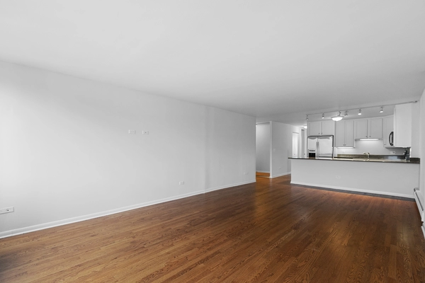 2 bedrooms apartment for rent in Gold Coast - Central, Chicago