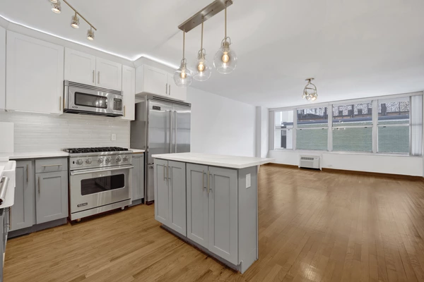 1 bedroom apartment for rent in Gold Coast - Central, Chicago