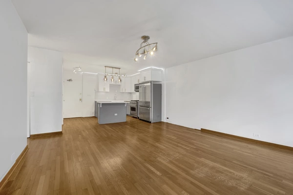 1 bedroom apartment for rent in Gold Coast - Central, Chicago