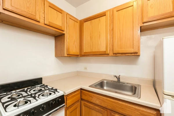 Studio Apartment for rent in Gold Coast - Central, Chicago