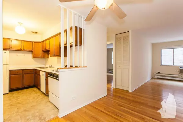 1 bedroom apartment for rent in Lincoln Park - North Side, Chicago