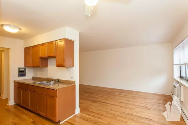 1 bedroom apartment for rent in Boystown - North Side, Chicago