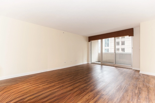 1 bedroom apartment for rent in River North - Central, Chicago