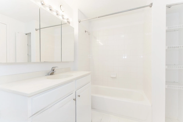 1 bedroom apartment for rent in River North - Central, Chicago