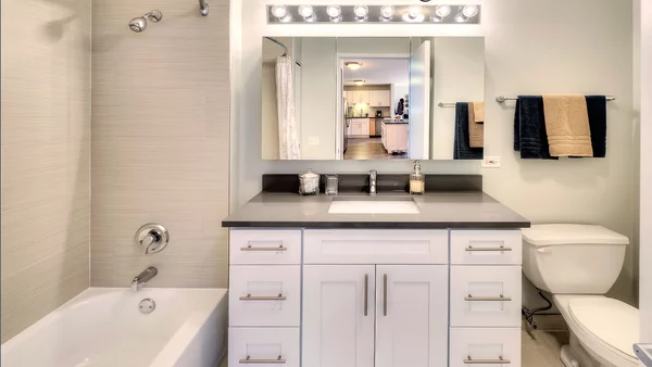 1 bedroom apartment for rent in Magnificent Mile - Central, Chicago