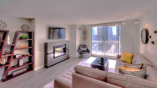 1 bedroom apartment for rent in Magnificent Mile - Central, Chicago