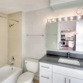 1 bedroom apartment for rent in Magnificent Mile - Central, Chicago