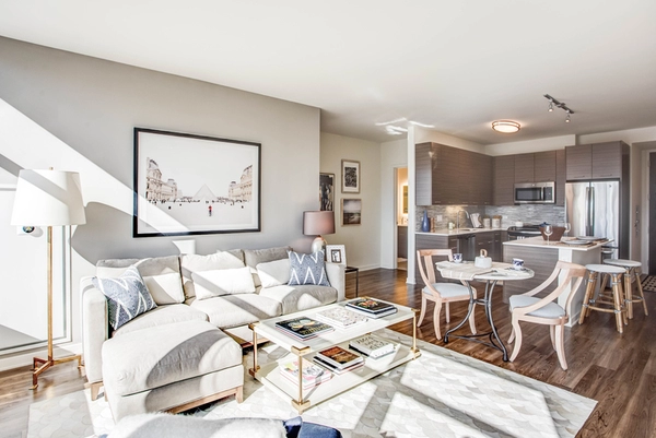 1 bedroom apartment for rent in Near North Side - Central, Chicago