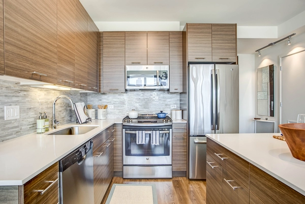 1 bedroom apartment for rent in Near North Side - Central, Chicago