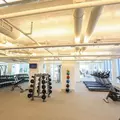 1 bedroom apartment for rent in River North - Central, Chicago