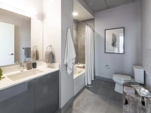 1 bedroom apartment for rent in River North - Central, Chicago