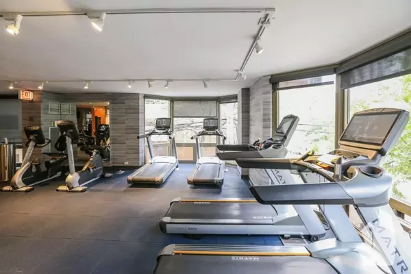 1 bedroom apartment for rent in Gold Coast - Central, Chicago