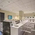1 bedroom apartment for rent in Gold Coast - Central, Chicago