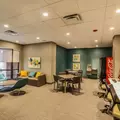 1 bedroom apartment for rent in Gold Coast - Central, Chicago