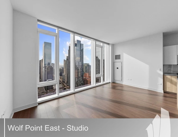 Studio Apartment for rent in River North - Central, Chicago