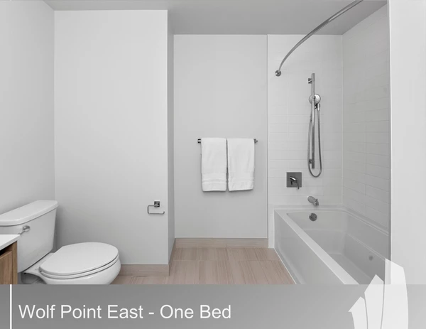 1 bedroom apartment for rent in River North - Central, Chicago